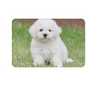 DMORJ Bichon Frise Dog Flannel Non Slip Floor Mat :: 16x24in,Indoor Front Desk Kitchen Bedroom Living Room Garage Office Etc