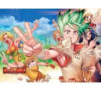 DMQBT 1500 Piece Jigsaw Puzzle ，Pictures ，Gifts ，Classic Japanese Animes Dr.Stone ，Children'S Challenge Games ，Adult Decompression Toy - Xt238Zp