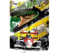 DMQBT 1500 Pieces - Colorful Jigsaw - Pictures - Gifts - F1 Racings Art Poster - Adult Decompression Toys - Home Memory Cognition Games - Dc70Zw