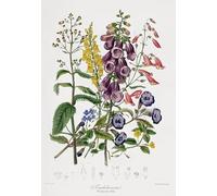 DMQBT 1500 Pieces ,Poster ,Difficult Jigsaw ,Gifts ,Colorful ,Vintage Flower Plants Art Picture ,Elderly Memory Cognition Game ,Home Decoration - Ns37Zk