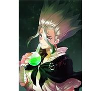 DMQBT 1500 Pieces Puzzles - Colourful Puzzle - Classic Japanese Animes Dr.Stone Ishigami Pictures - Children'S Personalised Adult Toy - Hy149Yz