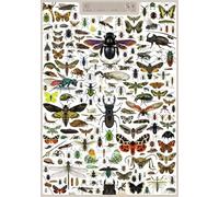 DMQBT Difficult Jigsaw,1500 Pieces ，Colourful Irregular Puzzle ，Vintage Insectss Art Illustrations - Adult Personalised Challenge Toys - Hy208Yz
