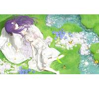 DMQBT Jigsaw Puzzles For Adults 1500 Piece ,Colorful ,1500 Pieces Adult Puzzle ,Japanese Animes Frieren: Beyond Journey'S End ,Home Decoration - Cq300Zj