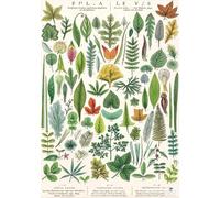 DMQBT - Puzzle 1500 Pieces ，Colorful Puzzles ，Pictures ，Gifts ，Floral Retro Poster ，For Elderly Memory Cognition Games ，Wall Art Decoration - Qk228Zy