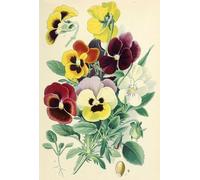 DMQBT Puzzle 1500 Pieces - Irregular Puzzle - Pictures - Gifts - Retro Flowers Illustrations - Elderly Memory Cognition Games - Wall Art Decoration - Cq164Zj