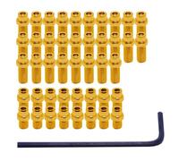 DMR Vault Flip Pin Set Gold