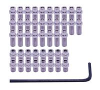 DMR Vault Flip Pin Set Silver