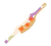 Dmuzsoih Heating Patches for Muscles - Fast-Activating Long-Lasting Warmth Plaster | Warming Neck Plaster - for Family Friends Adults Men Women Indoor Travel Home Office