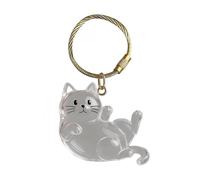 Dmuzsoih Pet Keepsake Box, Dog Hair Keyring, Memorial Clear Pendant Acrylic Key Chain for Collection Bag Men Women Purse Backpack Charm