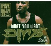 Dmx Ft Sisqo - What They Want