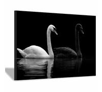 DMZPKZB Canvas Wall Art swan Modern Canvas Prints,Artwork Posters, Home Decoration,For Living Room Bedroom Bathroom Wall Decor(black and white)-70x100cm Framed