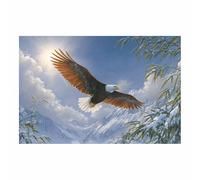 DMZPKZB Funny Animals Canvas Wall Art Mountain Eagles Art Print Art Print Poster, For living room,bedroom,kitchen,corridor, office, bathroom, hotel, cafe(Multicolor)-50x70cm Unframed