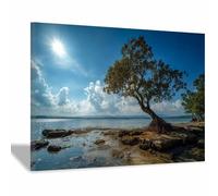 DMZPKZB Natural Landscape Wall Decor Geyser Pool scenery s Art Beautiful scenery Painting, Modern Artwork,for Living Room,Bedroom,Office Bathroom,Dining(Multicolor)-70x100cm Framed