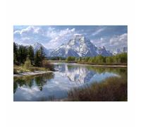 DMZPKZB Scenery Canvas Wall Art Zion Canyonse opinion Mural decor,Modern Print Artwork,for Office,Bedroom,Bathroom,corridor,Living Room for Room Decoration(Multicolor)-70x100cm Unframed