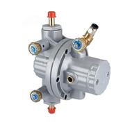 DN10 3/8 inch 0.6m3/h 10L/min Aluminum Pneumatic Diaphragm Pump BML-5 with TPFE