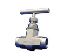 DN10 DN15 Female Thread Needle Globe Valve 3/8" 1/2" 304 Stainless Steel High Pressure Needle Valve(3/8")