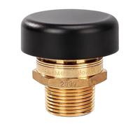 DN15 Brass Vacuum Breaker Featuring 200psi High Pressure Rating for Secure Action Water Heater Vacuum Gate