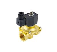 DN15/DN20/DN25 Brass Electric Solenoid Valve, Normally Close Electromagnetic Valve with NBR/FKM Seal 1pc(DN20,FKM Seal_DC24V)