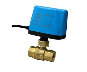 DN15 DN20 DN25 DN50 Normally Closed Full Bore Motorized Brass Ball Valve 2-Wire Brass Electric Ball Valve Big Orifice Valve Body(3/4",Open_220VAC)