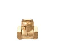 DN15 DN20 DN25 Horizontal Brass Wire Mouth Non-Return Valve Brass Female Thread Check Valve(3")