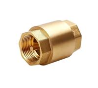 DN15/DN20/DN25 Non-Return Check Valve 200WOG Male for Water Gas Oil Control Devices NPT Brass Thread One Way(1l1 Inch)