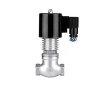 DN15-DN65 High Temperature Solenoid Valve with Piston AC220V 110V Normally Closed Solenoid Valve for Steam, Liquid, Water