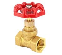 DN15 G1/2in Brass Globe Shut Off Valve Female