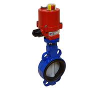 DN65 (2-1/2 inch) 24VDC Lug Electric Butterfly Valve GGG40-Stainless Steel-FKM - BFLL