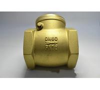 DN65 DN80' DN100 BSPP Swing Check Valve Prevent Water Backflow(DN65)
