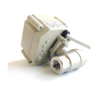 DN8 Normally Open/Close Valve AC/DC9V-24V Electric Shut Off SS304 Power Failure Return Replace Electromagnetic(Bsp,CR502 Normally Open)