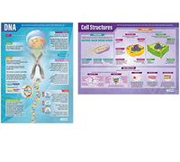 DNA and Cell Structure Posters - Set of 2 | Science Posters | Laminated Gloss Paper measuring 850mm x 594mm (A1) | Science Charts for the Classroom | Education Charts by Daydream Education