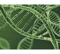 DNA and Nucleic Acids