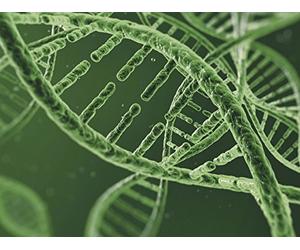 DNA and Nucleic Acids