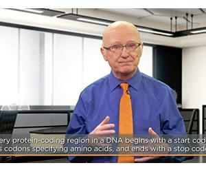DNA and RNA: Information in Structure