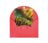 DNA Chain Photo Print Adorable Blank Cards& Envelopes,Unique Designs Perfect for Festivals, Invitations