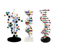 DNA Double Helix Model, Large Protein Model for Biology Education, 60CM Teaching Demonstration Tool, Set of 3 Pieces