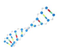 DNA Double Helix Structure Model Components Biological Genetic Genes and Mutation Teaching Instruments and Experimental Equipment DNA Double Helix Model