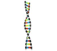 DNA Double Helix Structure Model Kit, Educational Biology Teaching Aids, Molecular Structure for Genetics Learning, Ideal for Junior & Senior High School Biology Classes, DNA Double Helix Structure Mo