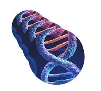 DNA Genetic Helix Car Air Freshener Cards for Women Men 4 Pack Cute Car Accessories Long Lasting Scent Car Diffuser Hanging Auto Aromatherapy Tablets Car Fresheners Gifts