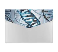 DNA Genetic Helix File Folder, Plastic Accordion File Folders with 6 Pockets, Expanding File Organizer with Snap Closure, Portable Document Paper Organizer, Office Supplies Filing Folders