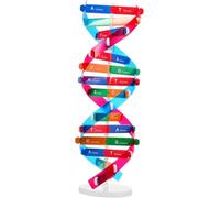 DNA Kit Self Double Helix Model kit Assembling DNA Display Stand Double Helix Model Human Genes Learning Toy Biological Teaching Helix Model Aid Science Models Molecular Model Kit