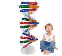 DNA Model, Double Helix Structure Generic Molecular Model Kit, 5x13" Large-Scale Biological Structure Human Genes Components Science Educational Teaching Supplies Molecular Kit