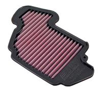 Dna P-h1n13-01 Air Filter
