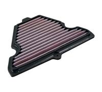 Dna P-k10s10-0r Air Filter