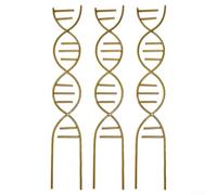 DNA Spiral Plant Support Iron Climbing Frame Set,for Pothos Ivy,