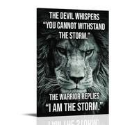 DNANNWOGF I Am The Storm PosterPoster Canvas Wall Art For Living Room Bedroom Gaming Room Office Posters 12x18inch(30x45cm) Frame-style