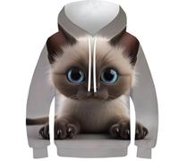 DNAVSOETR 3D Print Cat Hoodies Boys Girls Sportswear Pullover Jumper Hooded Sweatshirt with Pockets 10-12Y