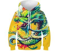 DNAVSOETR 3D Print Dragon Sweatshirt Teen Girl Boy Sweatshirt Hoodies Kids Jumper Long Sleeve 12-14Y