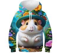 DNAVSOETR 3D Print Hamster Kids Hoodie Boys Girls Sweatshirt Hoodies Kids Jumper Long Sleeve 11-13Y