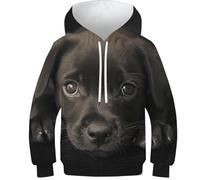 DNAVSOETR 3D Print Labrador Dog Hoodie Boys Girls Sweatshirt Hoodies Kids Jumper Long Sleeve 11-13Y